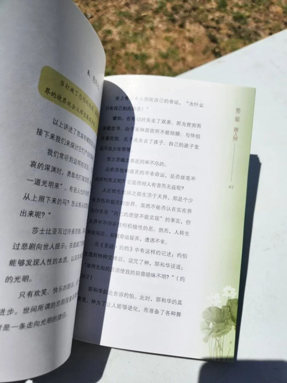 The Laws of Eternity by Ryuho Okawa Chinese edition Happy Science Religious Move
